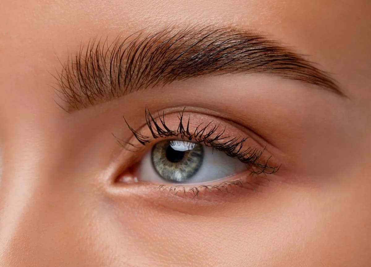 Brow Lamination / Lift — Beauty Art Pro, Geneva (4)