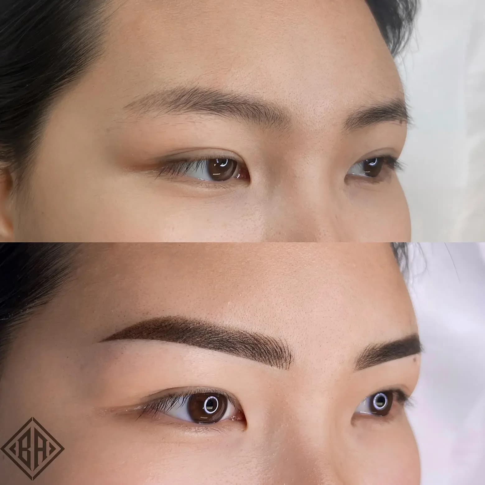 Combo Brows (Microblading + Shading) — Beauty Art Pro, Geneva