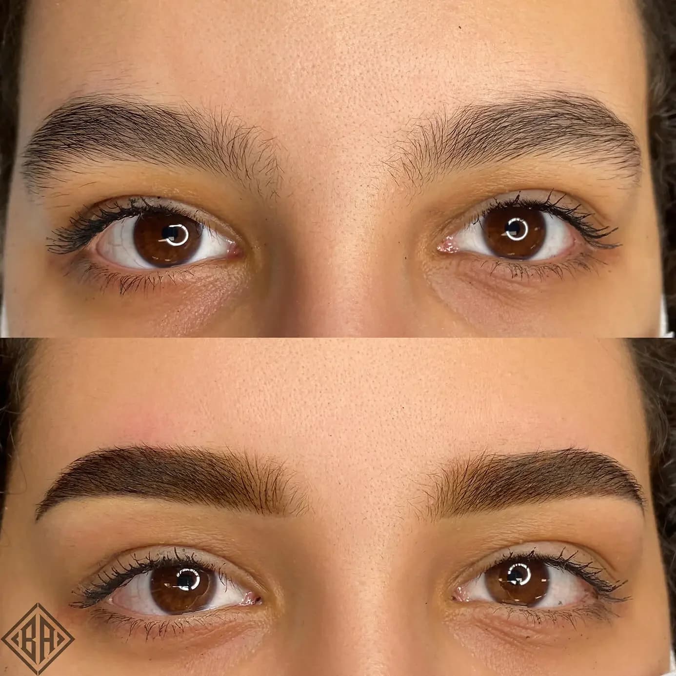 Henna Brows — Beauty Art Pro, Geneva (6)